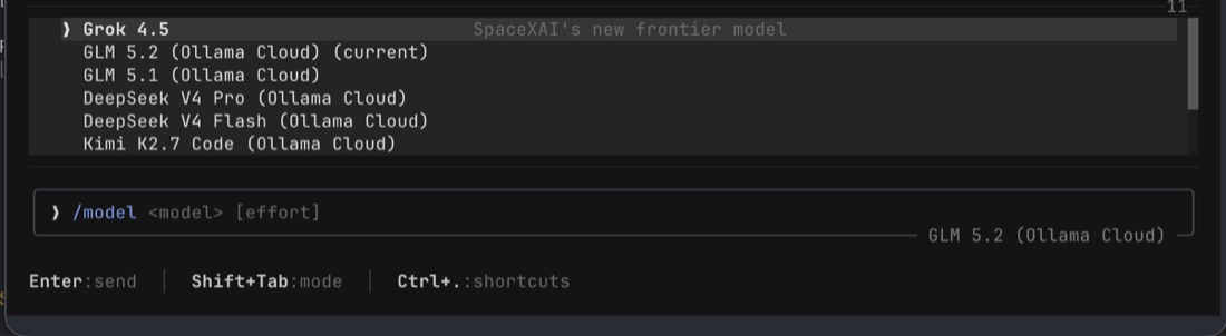 The grok model catalog listing the custom Ollama Cloud entries