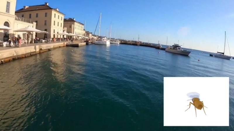 Frame 4 of the same clip: the fly has drifted from a stone quay with umbrellas and pedestrians toward open water - the world model regenerating the harbor around it as it flies. The white inset card is the only public view Odyssey shows of the "fly brain." (Video frame: @odysseyml, Oct 17 2026)
